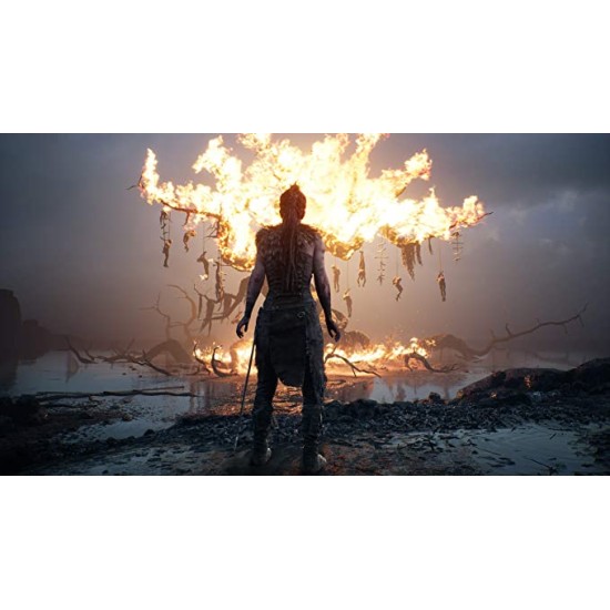 Ninja Theory HellBlade Senuas Sacrifice-For PS4