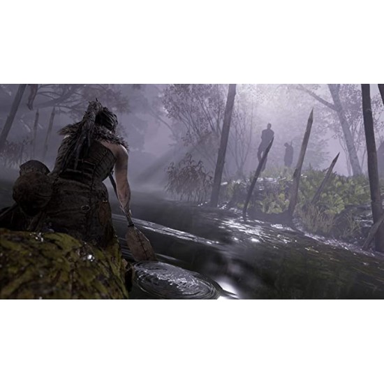 Ninja Theory HellBlade Senuas Sacrifice-For PS4