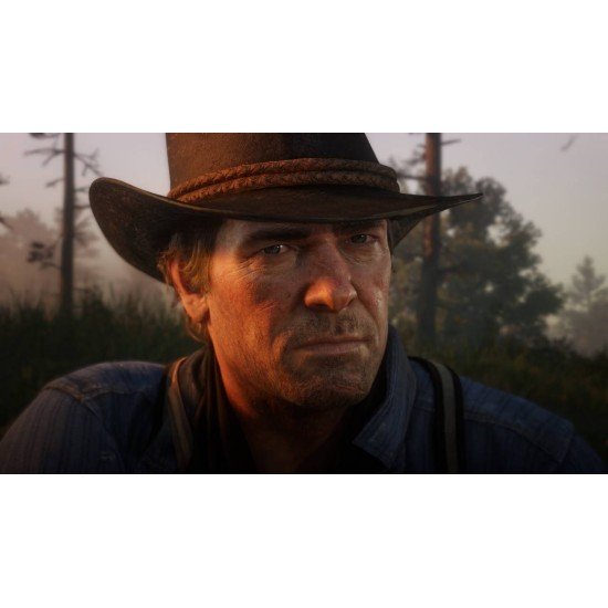 Red Dead Redemption 2 PS4 Games
