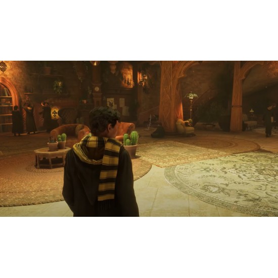 Hogwarts Legacy-For PS4