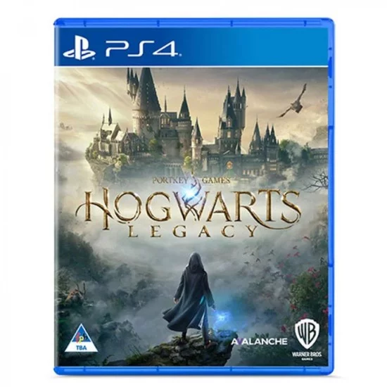 Warner Bros. Hogwarts Legacy, Deluxe Edition, PS4 : : Videogiochi