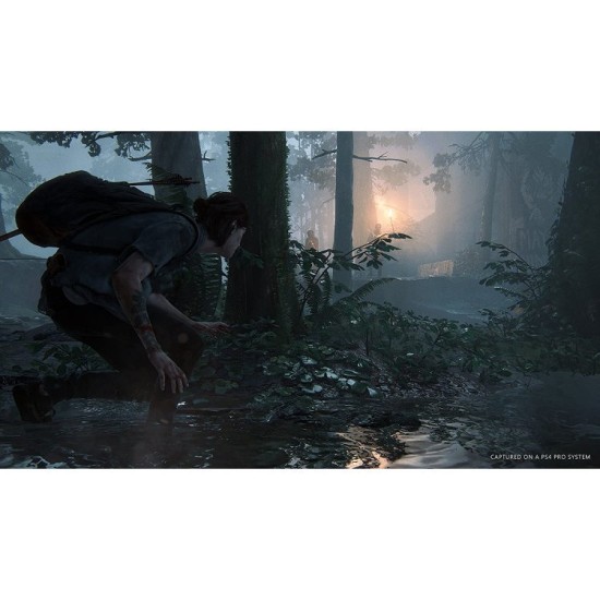 The Last of Us Part 2-For PS4 